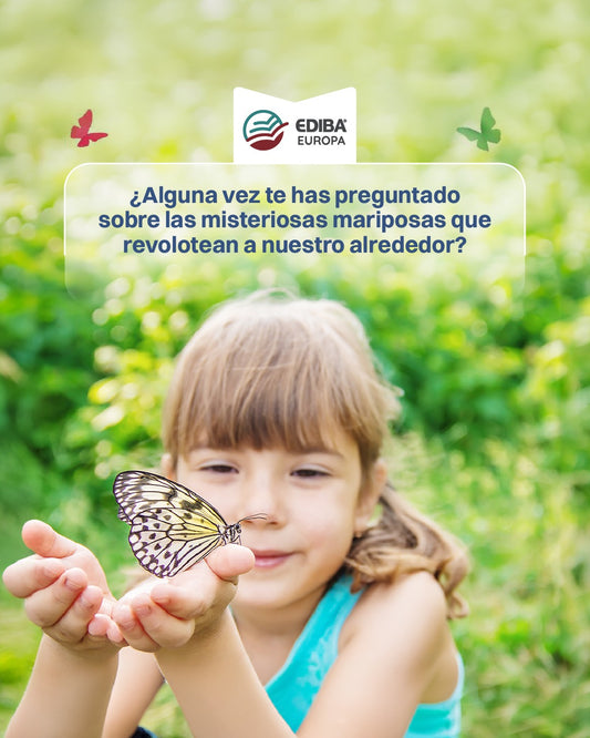 Proyecto Las Mariposas