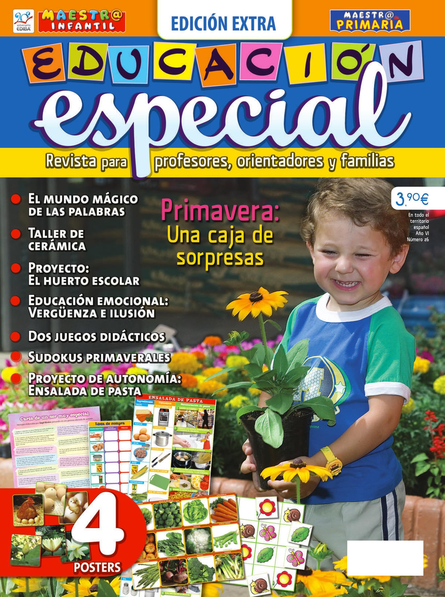 Educación Especial Nº 26