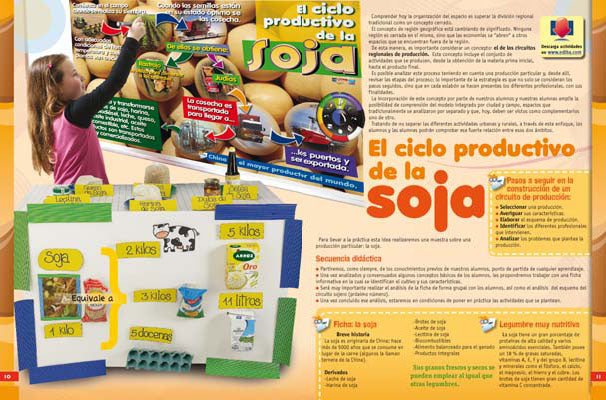 Maestr@ de Primaria Nº 80