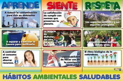 Maestr@ de Primaria Nº 80