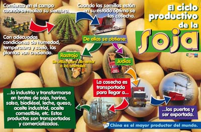 Maestr@ de Primaria Nº 80