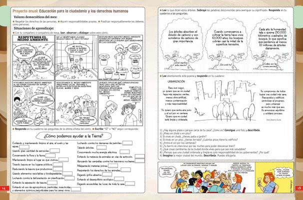 Maestr@ de Primaria Nº 82