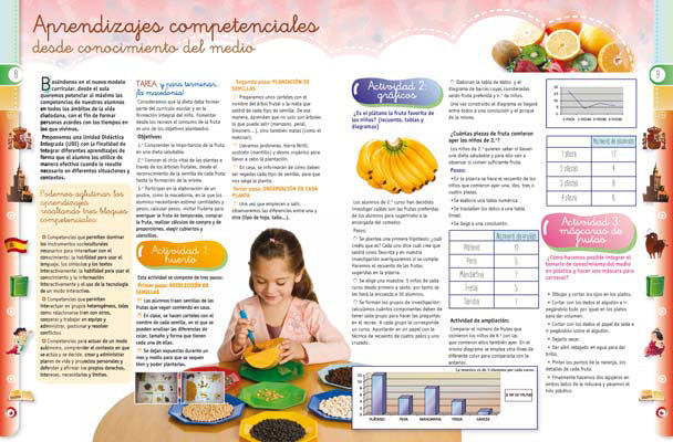 Maestr@ de Primaria Nº 89