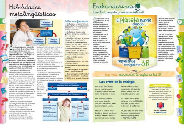 Maestr@ de Primaria Nº 89
