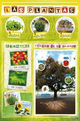 Maestr@ de Primaria Nº 90