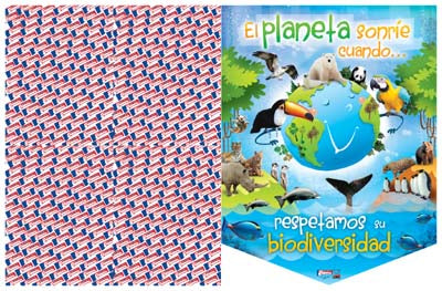 Maestr@ de Primaria Nº 91