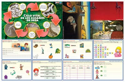 Maestr@ de Primaria Nº 91