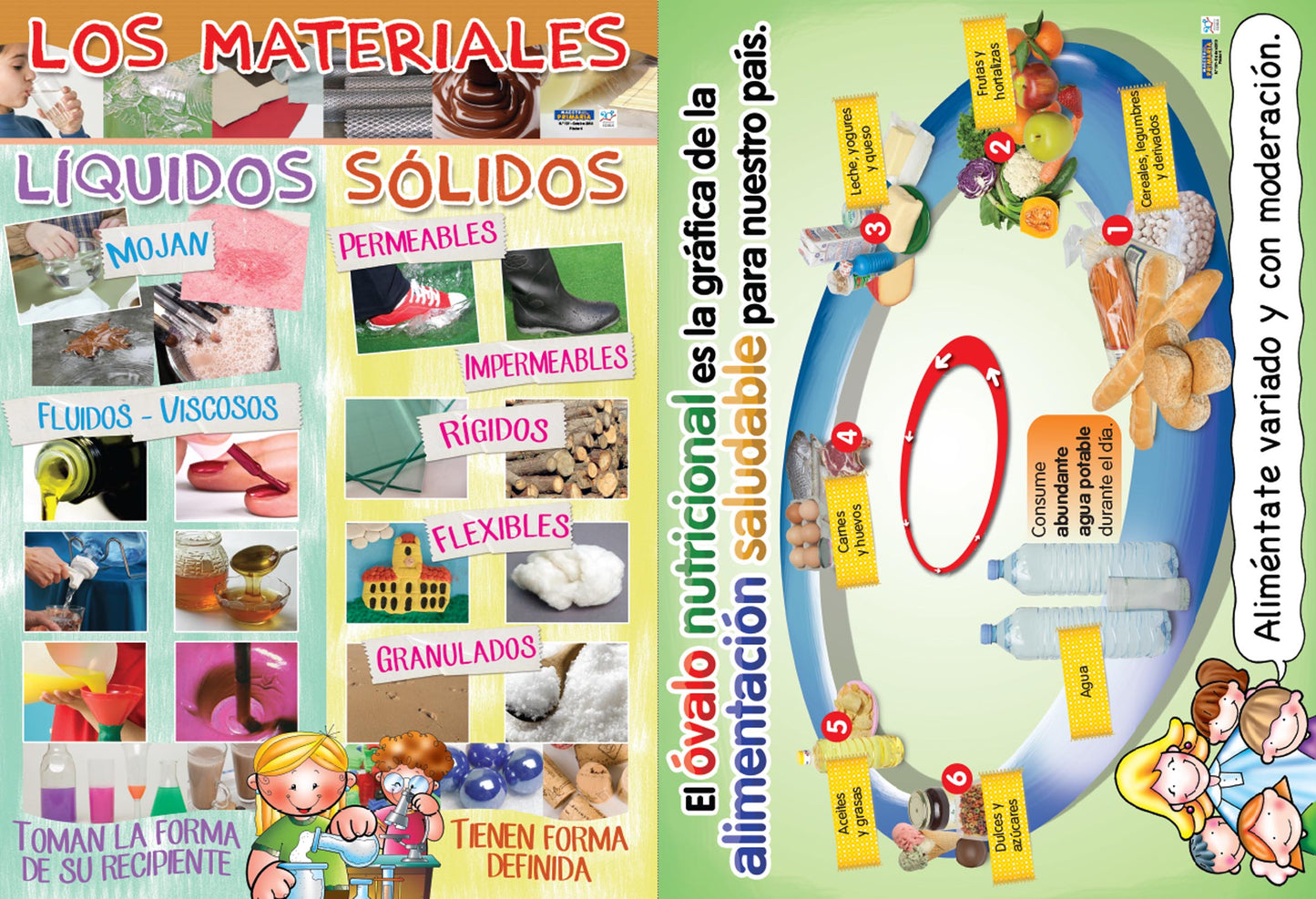 Maestr@ de Primaria Nº 107