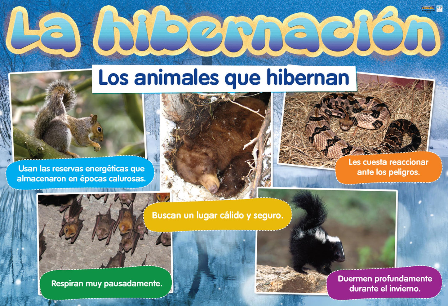 Maestr@ de Primaria Nº 108