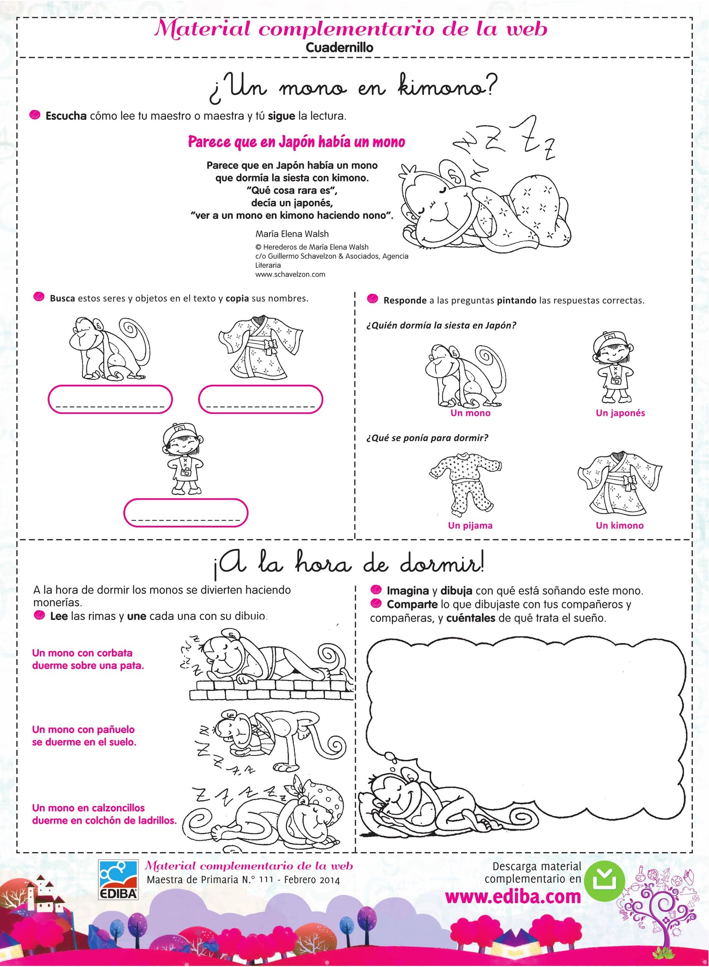 Maestr@ de Primaria Nº 111