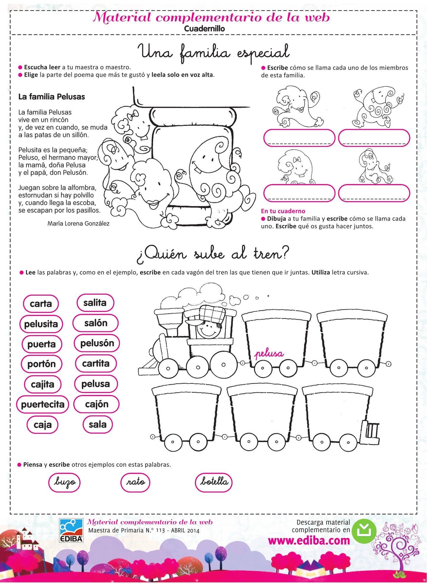 Maestr@ de Primaria Nº 113