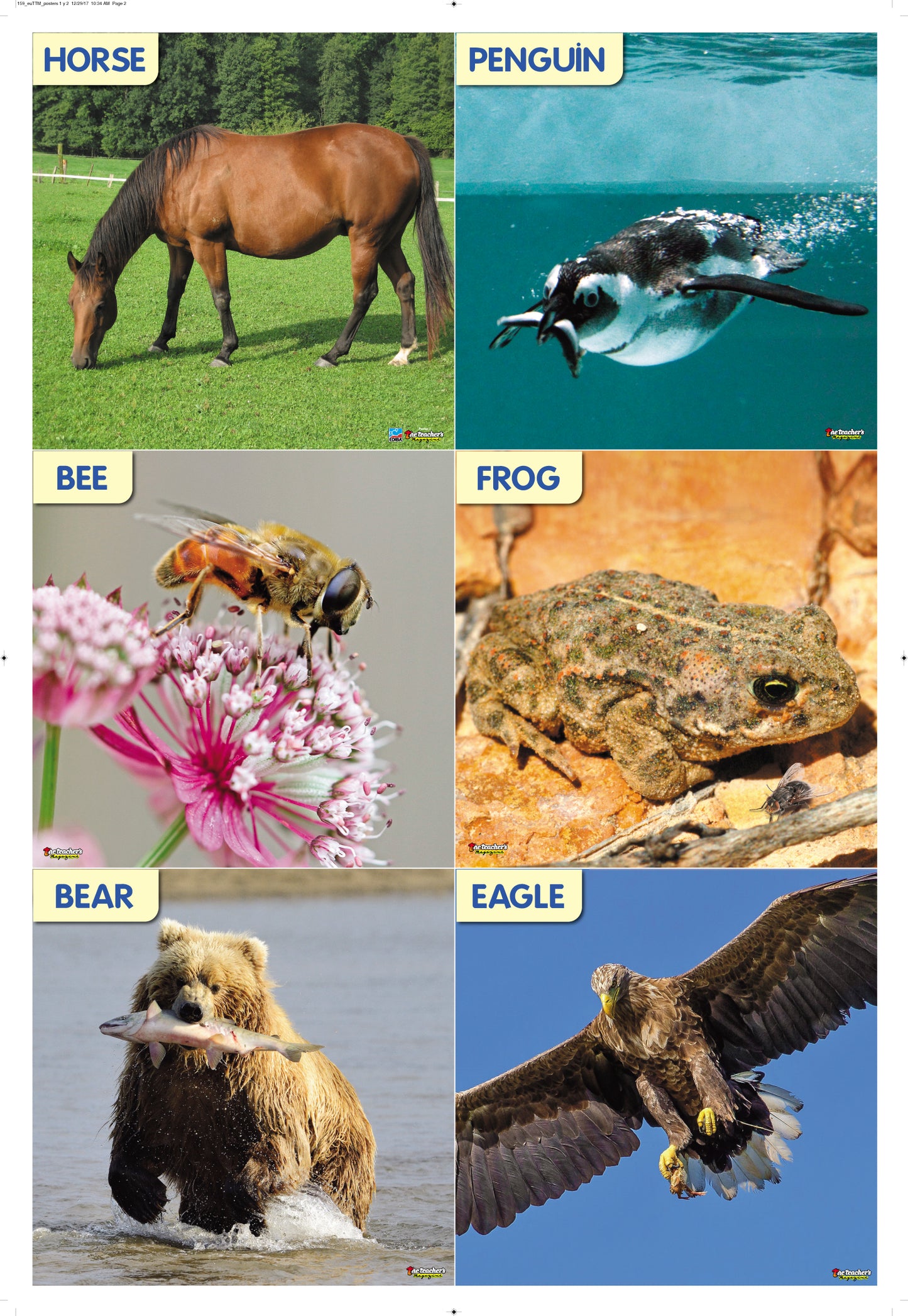 The Teacher's Magazine Nº 159