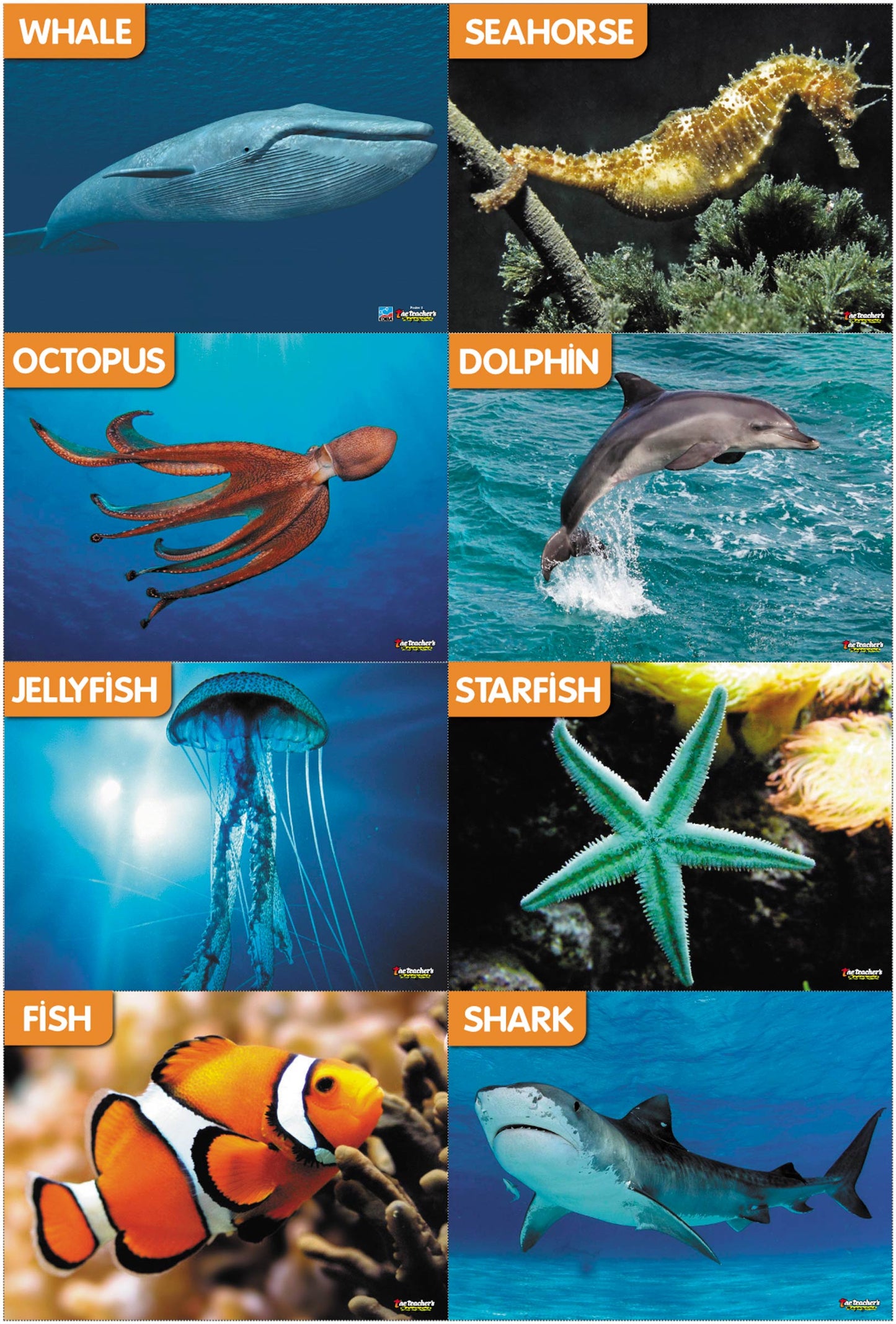 The Teacher's Magazine Nº 163