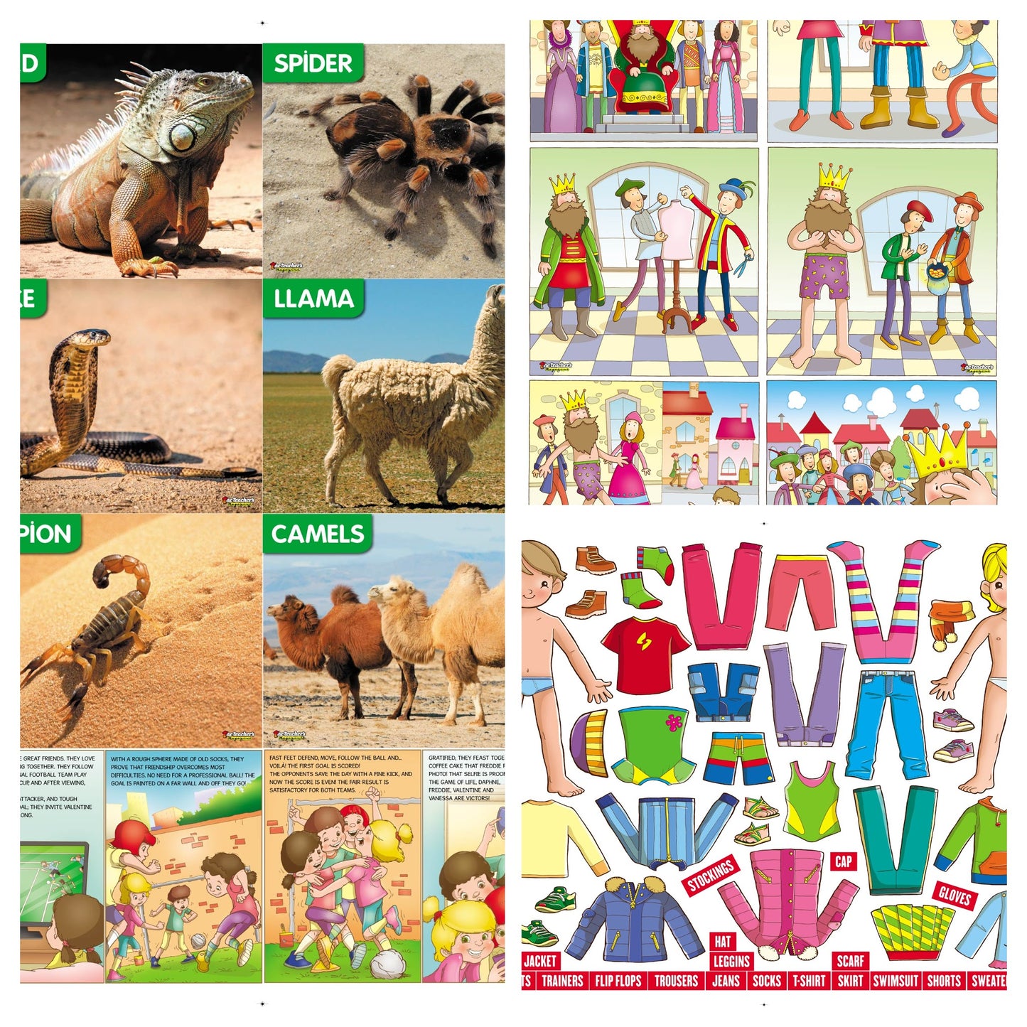 The Teacher's Magazine Nº 164