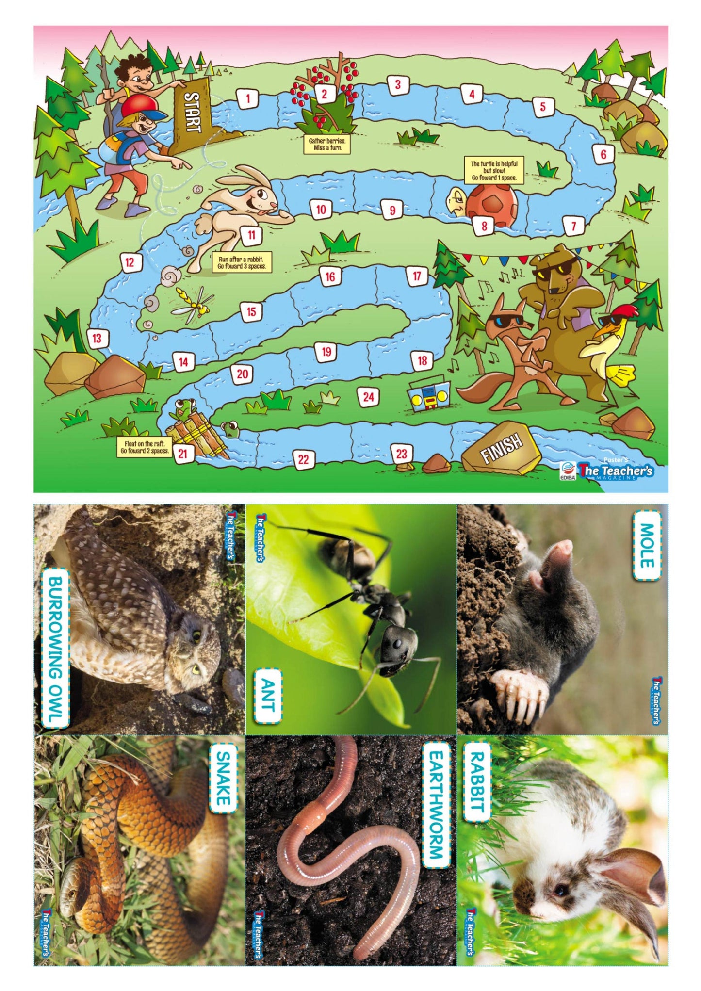 The Teacher's Magazine Nº 170