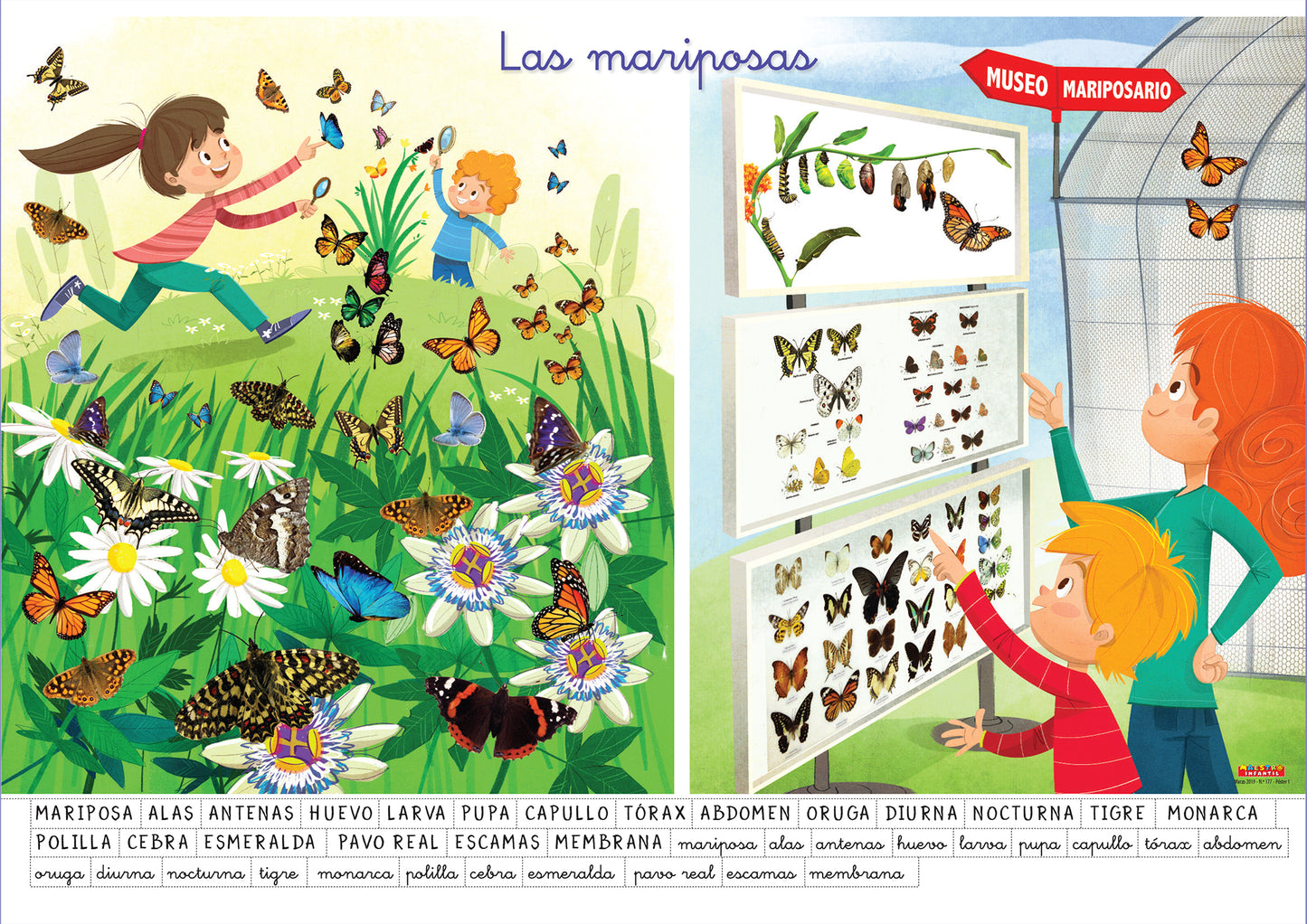 Maestr@ Infantil Nº 177