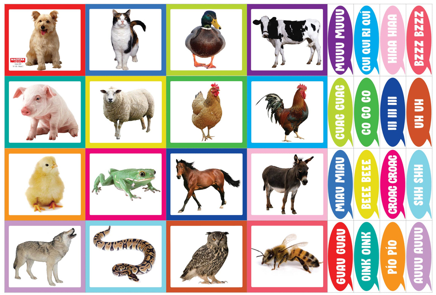 Maestr@ Infantil Nº 185