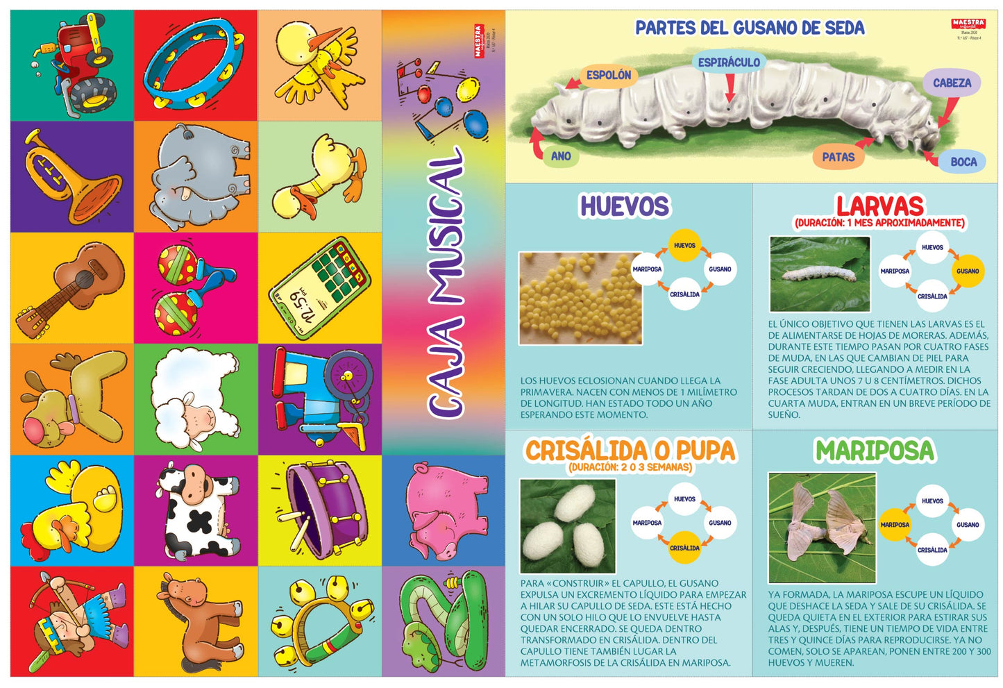 Maestr@ Infantil Nº 187