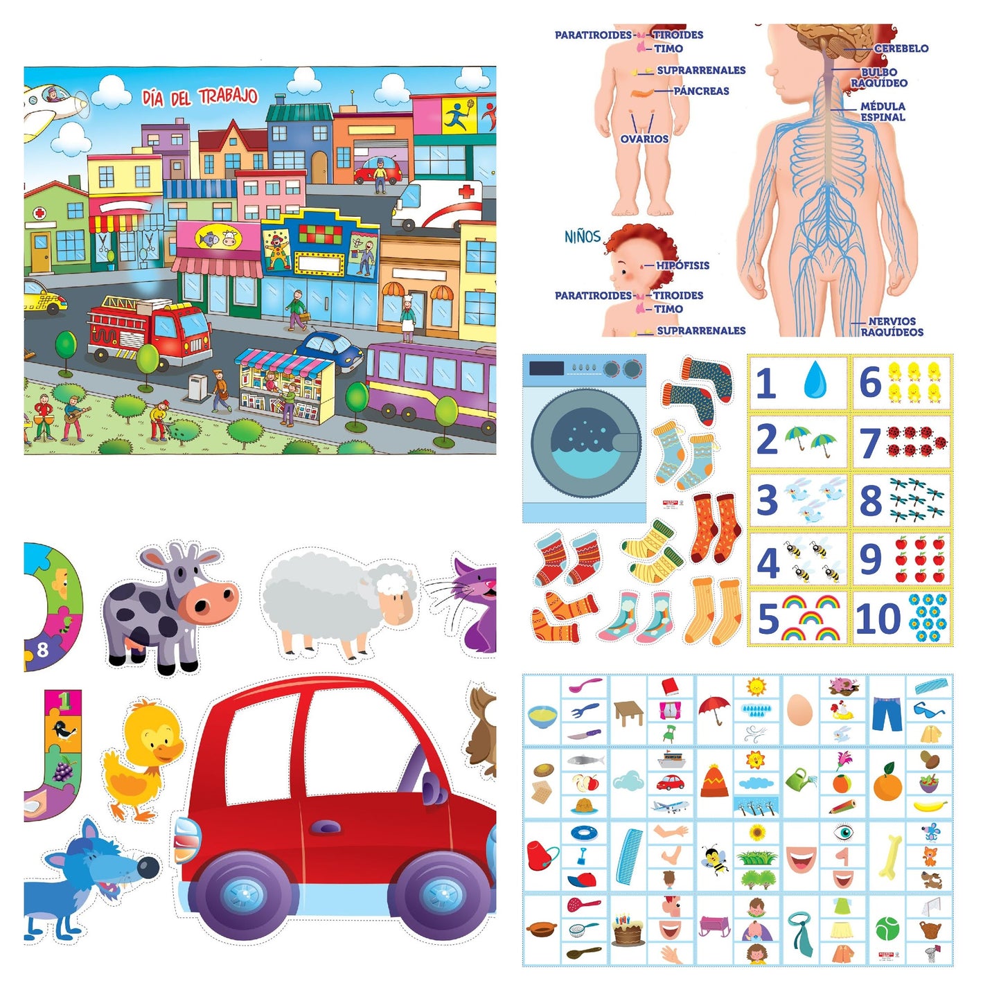 Maestr@ Infantil Nº 208