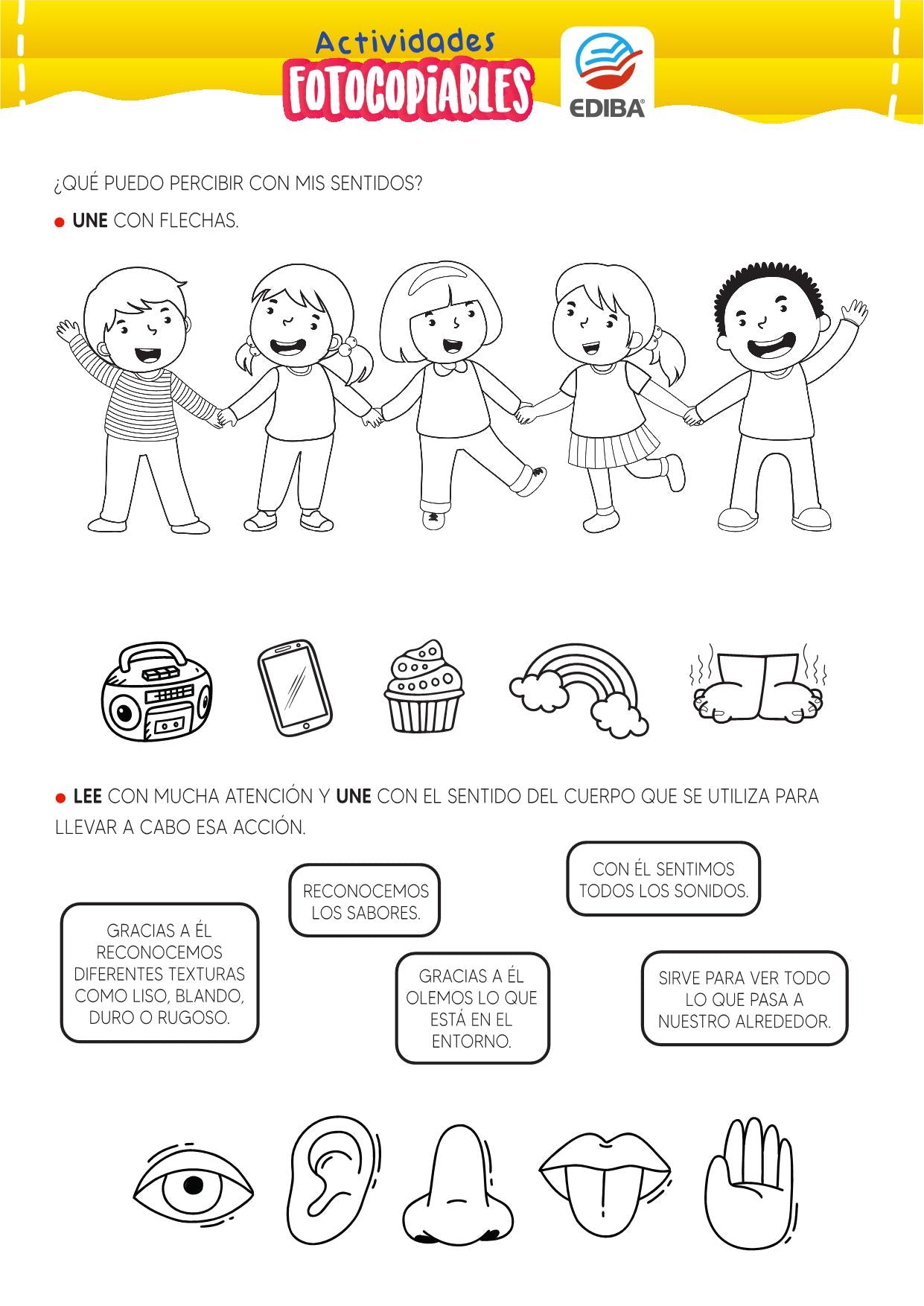 Actividades Fotocopiables: Los Sentidos