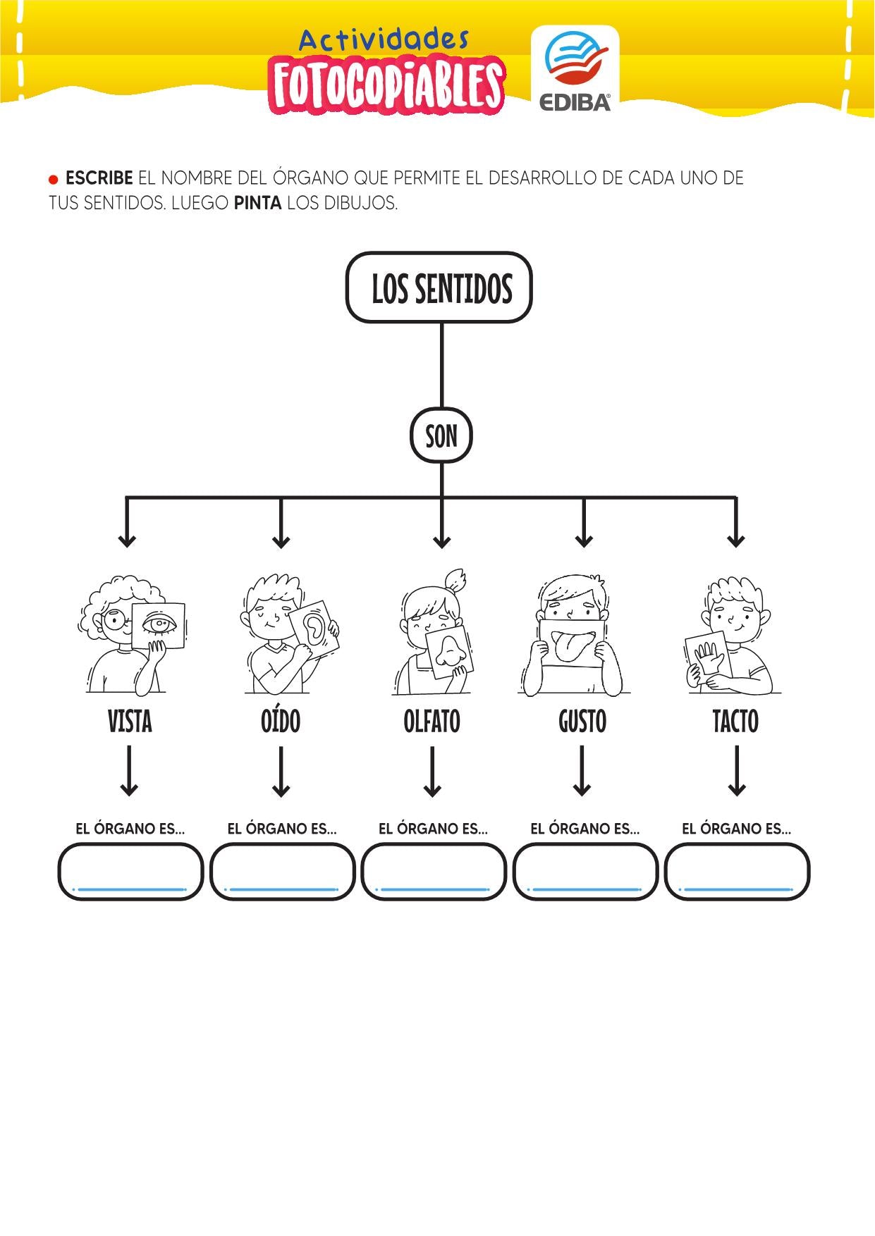 Actividades Fotocopiables: Los Sentidos