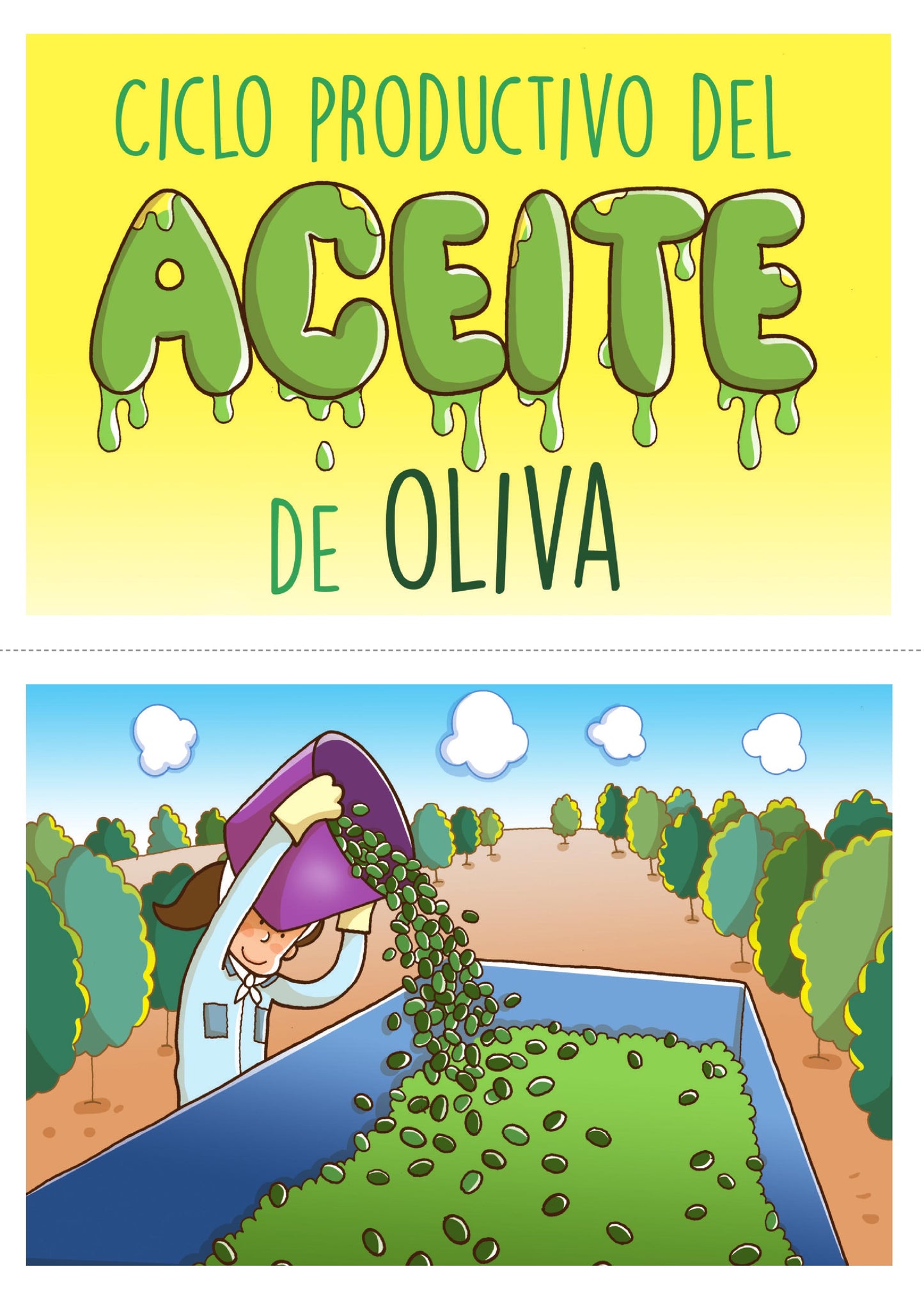 Ciclo Productivo del Aceite de Oliva