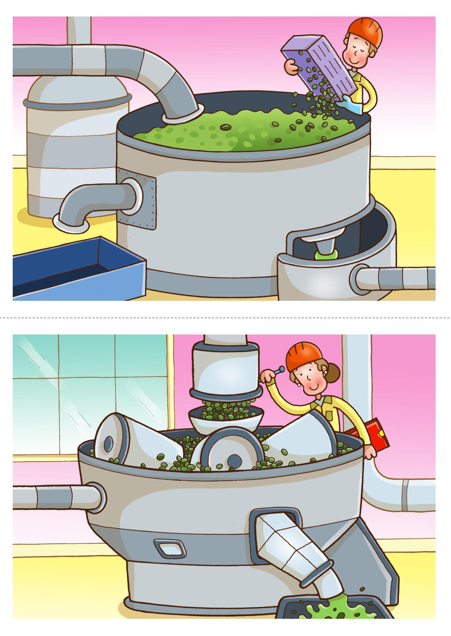 Ciclo Productivo del Aceite de Oliva