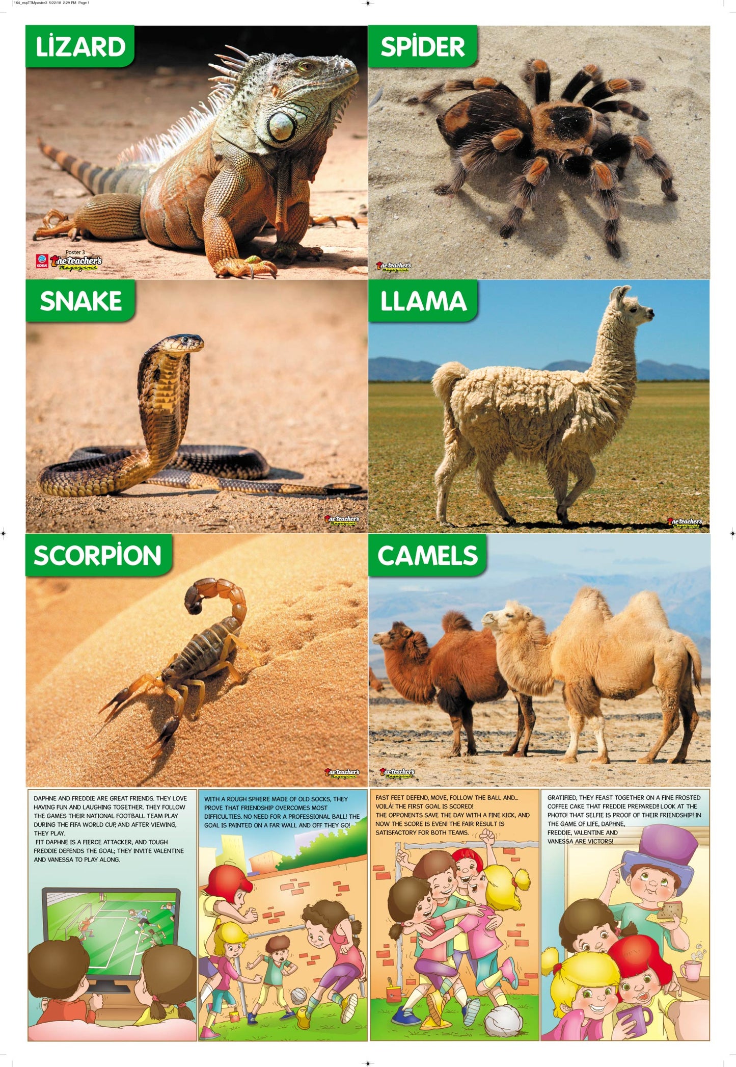 The Teacher's Magazine Nº 164
