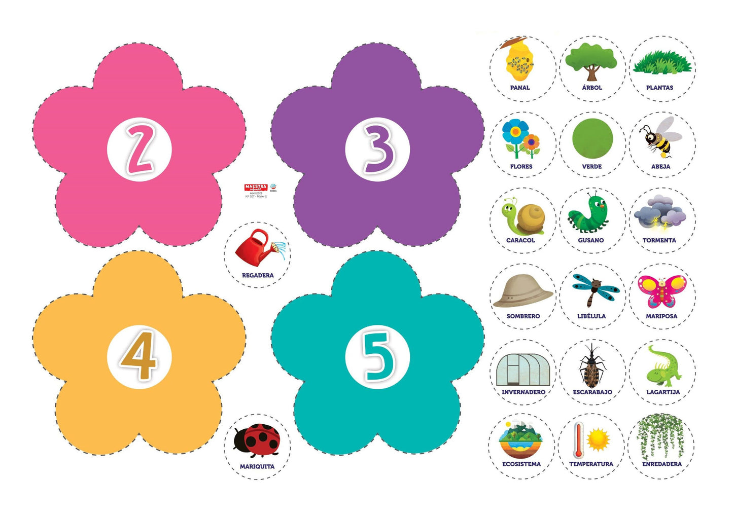 Maestr@ Infantil Nº 207