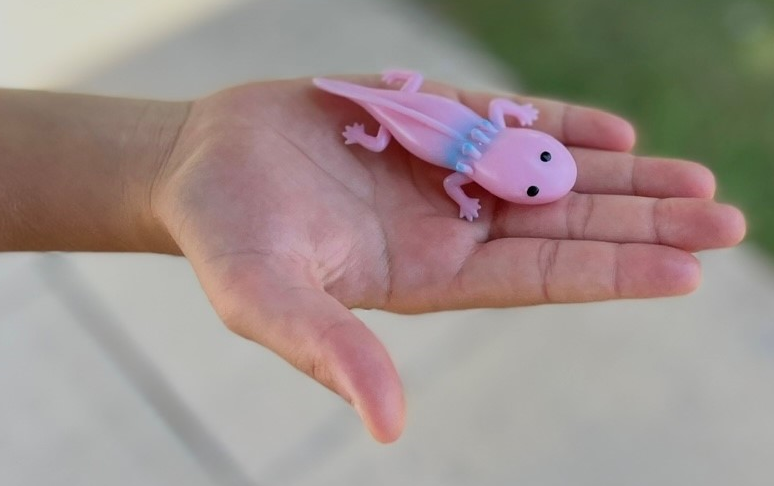 Revista Boing Nº 34 Noviembre 2025